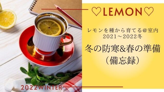 レモンを種から育てる 室内 22 01 冬の防寒と春に向けての備忘録 ご機嫌なnewdays